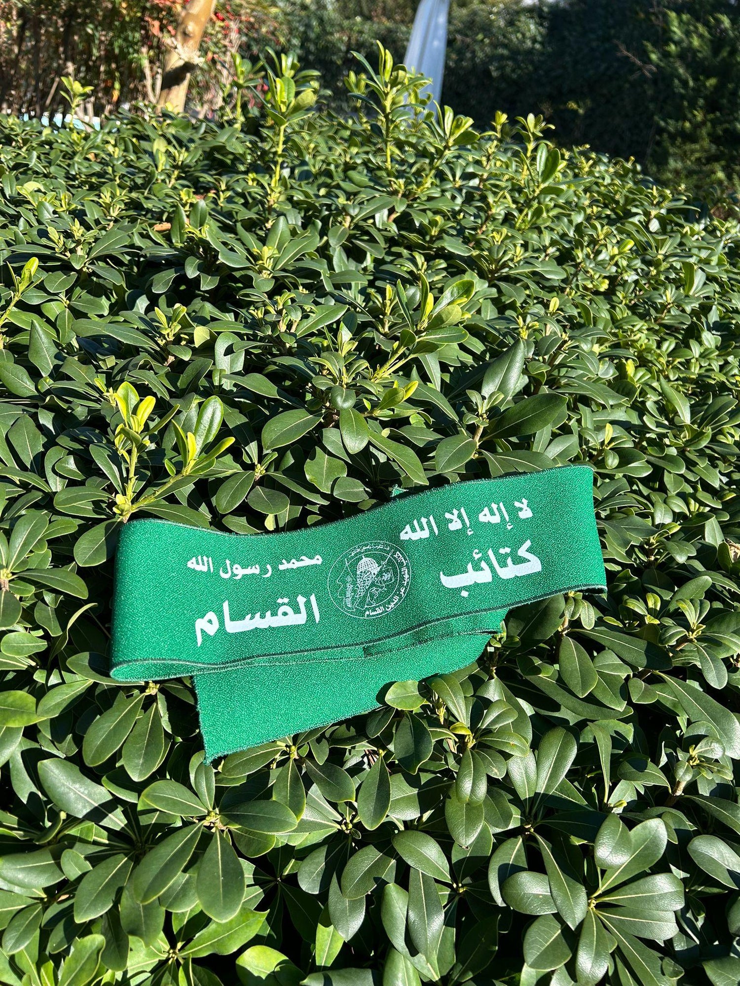 Kassam Koleksiyonu