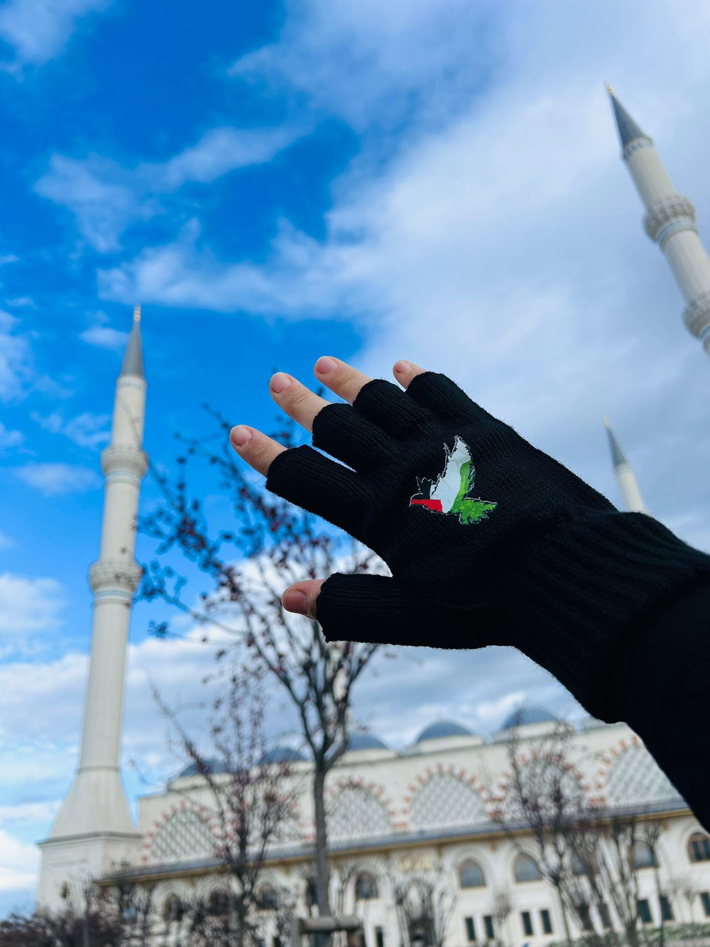 Filistin Temalı Baskılı Eldiven