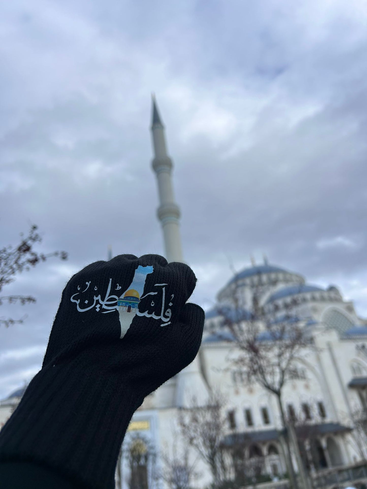 Filistin Temalı Baskılı Eldiven